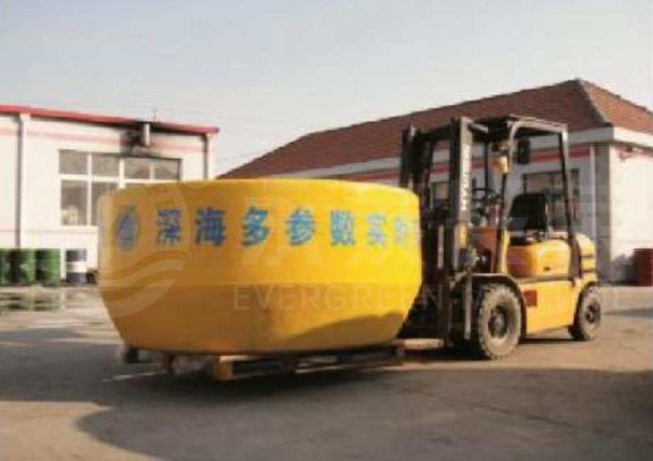 Evergreen-surface-support-buoys
