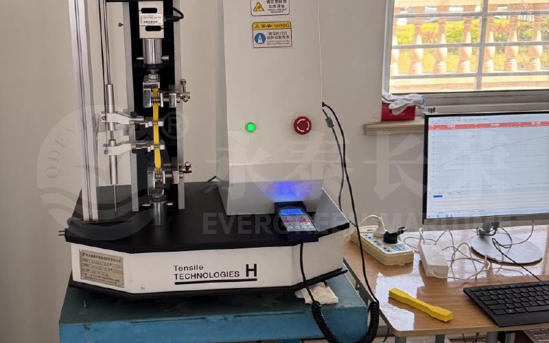 Comprehensive-Raw-Material-Test